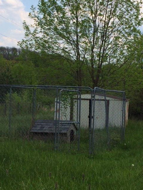 4019 Long Lick Road Stamping Ground, KY 40379 - Photo 20 of 31 Fenced dog/pet area and metal storage bu