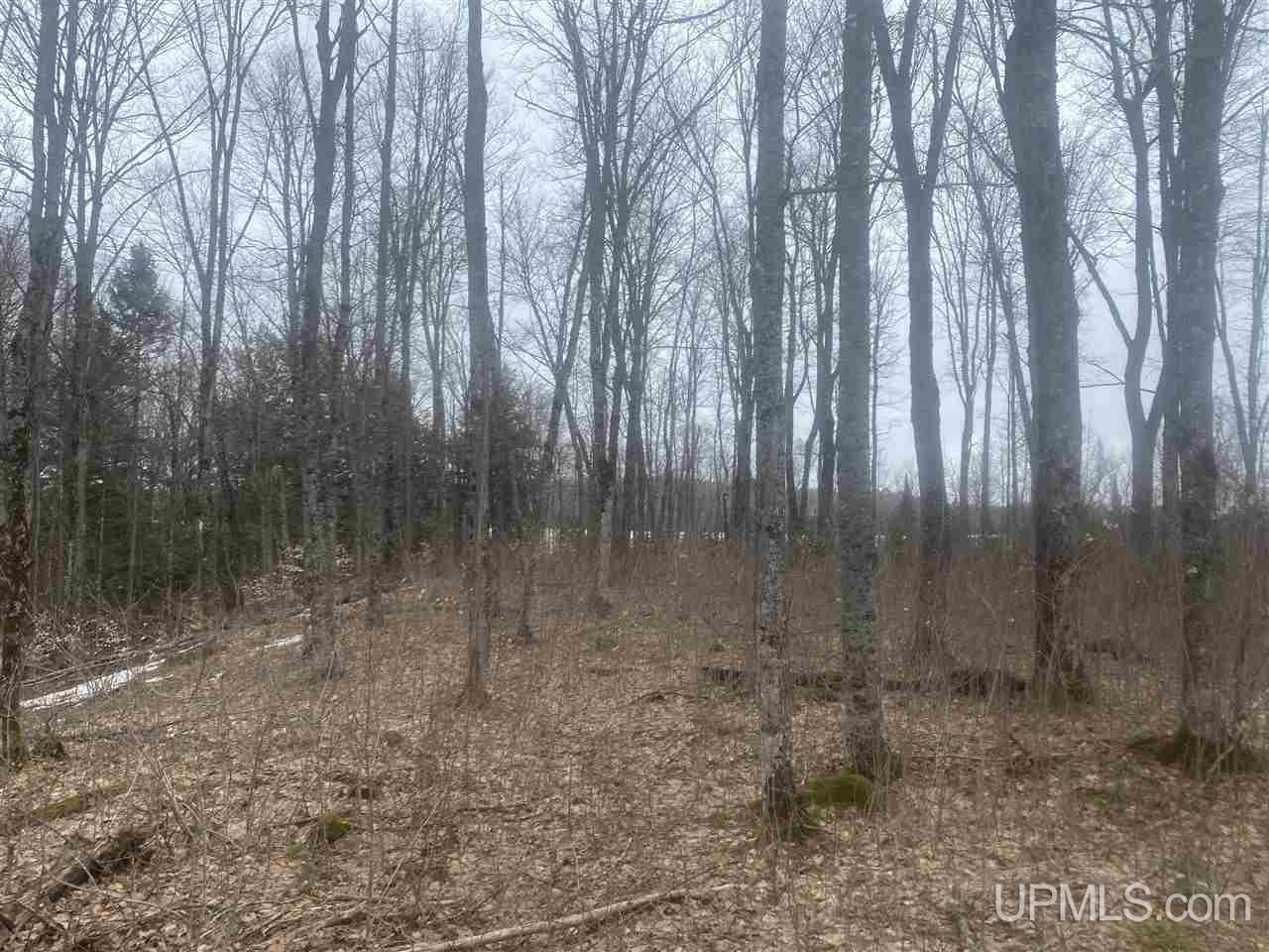 Tbd West Tamarack Lake Road, Unit 17 Iron River, MI 49935 - Photo 35 of 45