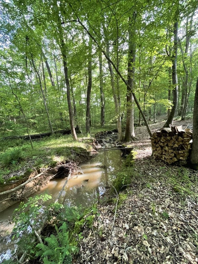 Lot 4 Our Road Oxford, NC 27565 - Photo 25 of 32 Photo 25