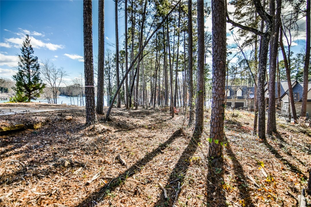 Lot 33 Retreat Pointe Road West Union, SC 29696 - Photo 17 of 20
