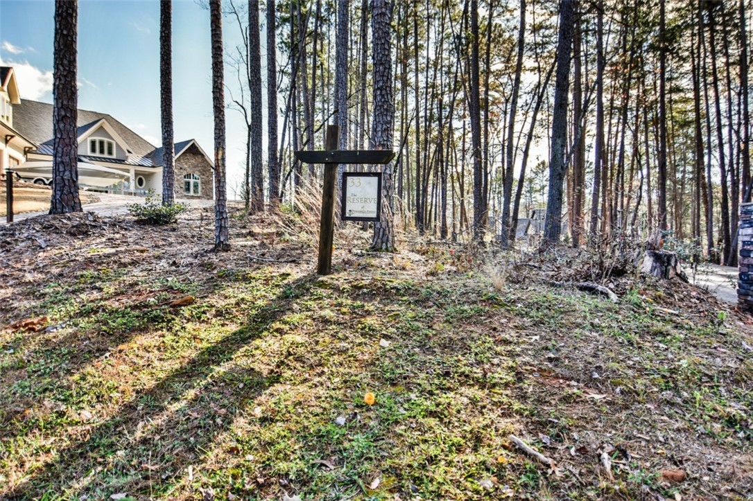 Lot 33 Retreat Pointe Road West Union, SC 29696 - Photo 4 of 20