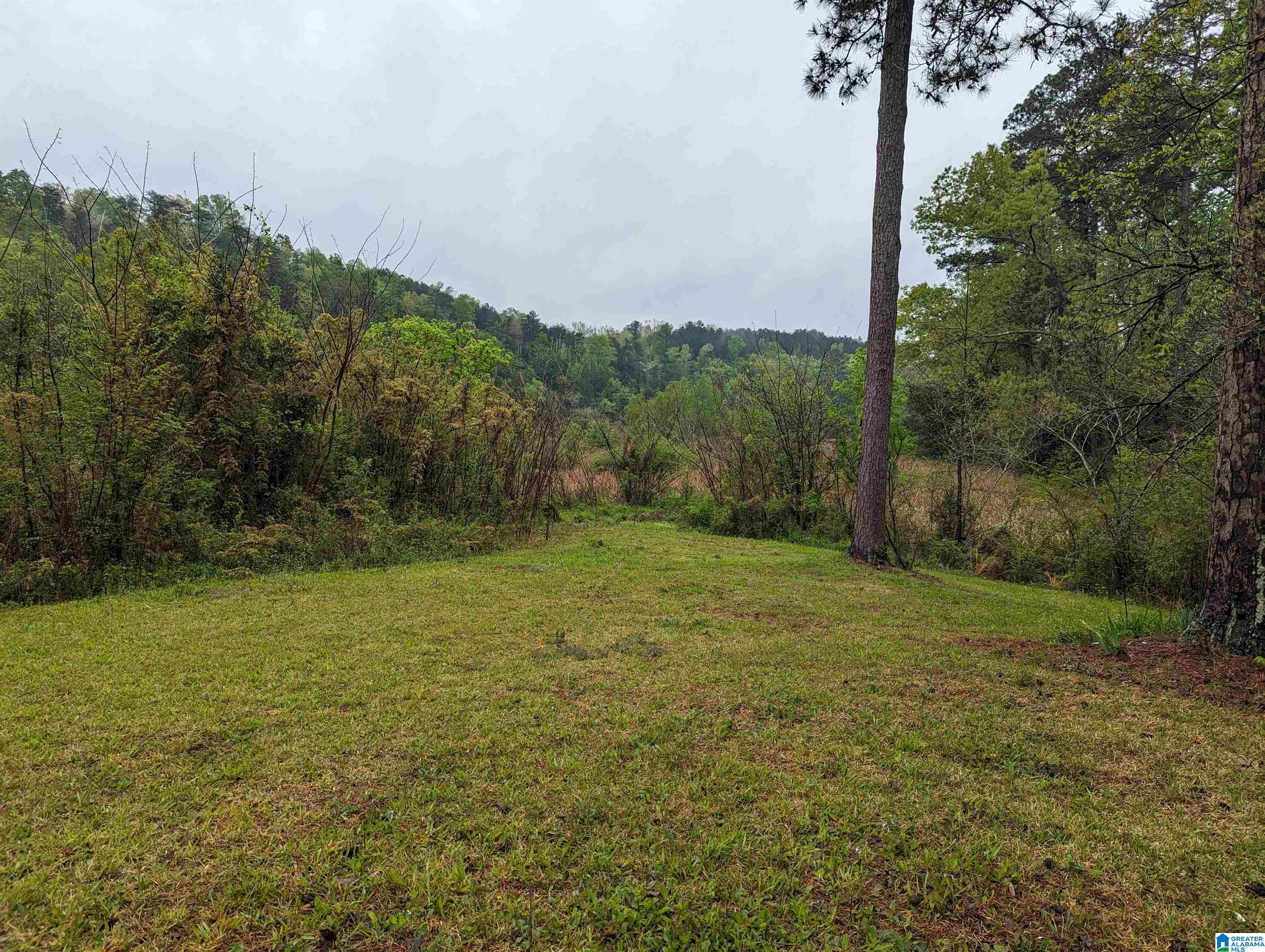 119 Boutwell Road Adger, AL 35006 - Photo 32 of 37