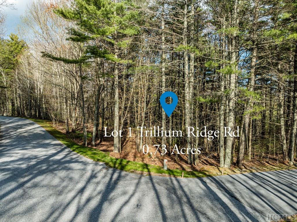 Lot 1 Center Ridge Road Sylva, NC 28779 - Photo 12 of 17 Gallery Image 12