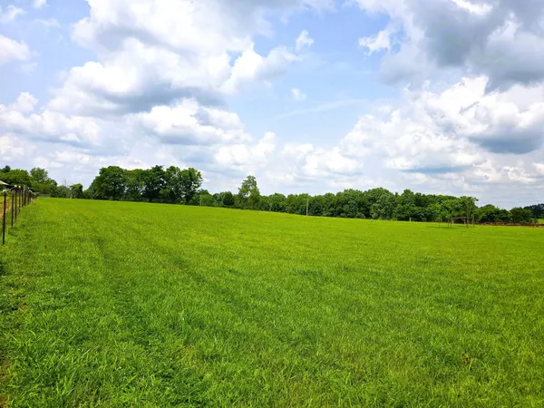 a view of a green field with clear sky