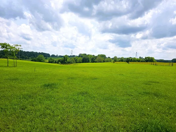 a view of field with an trees in the background