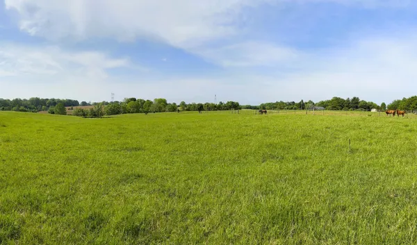 a view of an ocean and beach