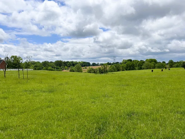 a view of a golf course with a lake