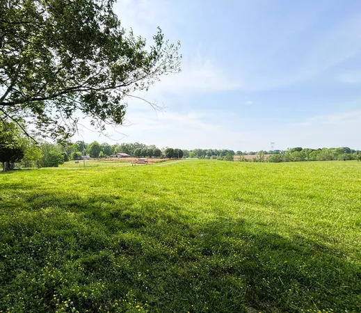a view of a field with an ocean