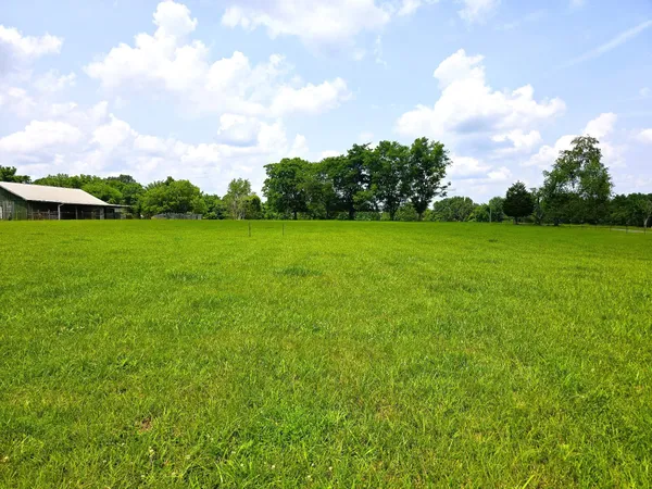 a view of a field of grass and trees