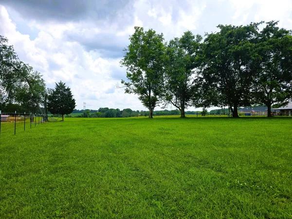 a view of grassy field with benches