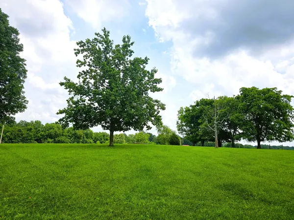 a view of grassy field with benches