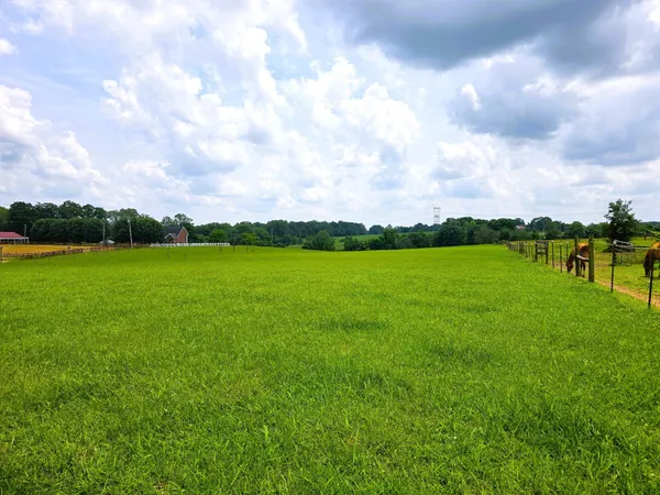 a view of a lake with houses in the back