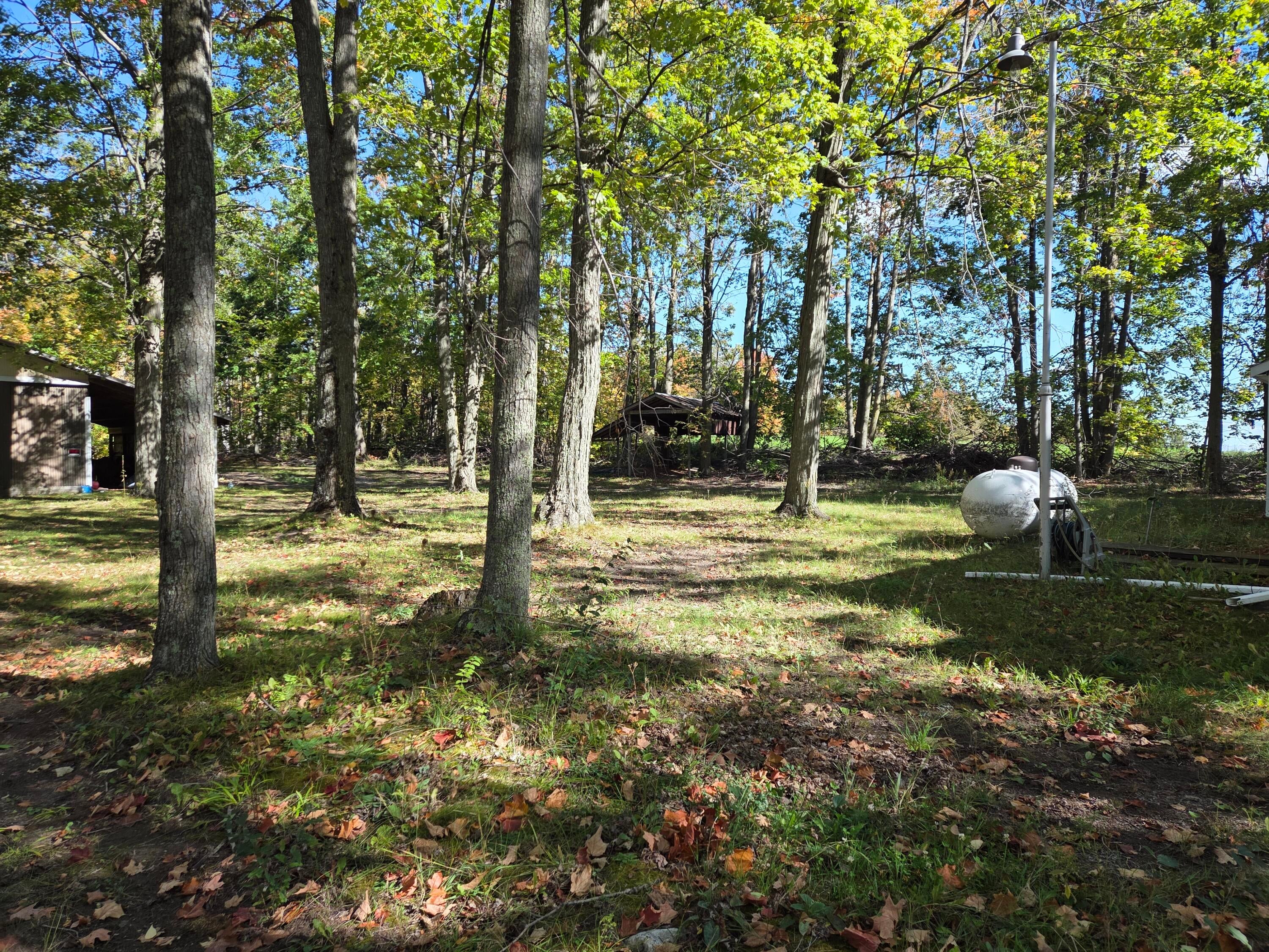 22730 Banks Road Hillman, MI 49746 - Photo 15 of 27 20251008_122636