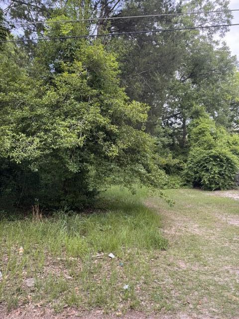 105 Gates Street Sumter, SC 29150 - Photo 2 of 3
