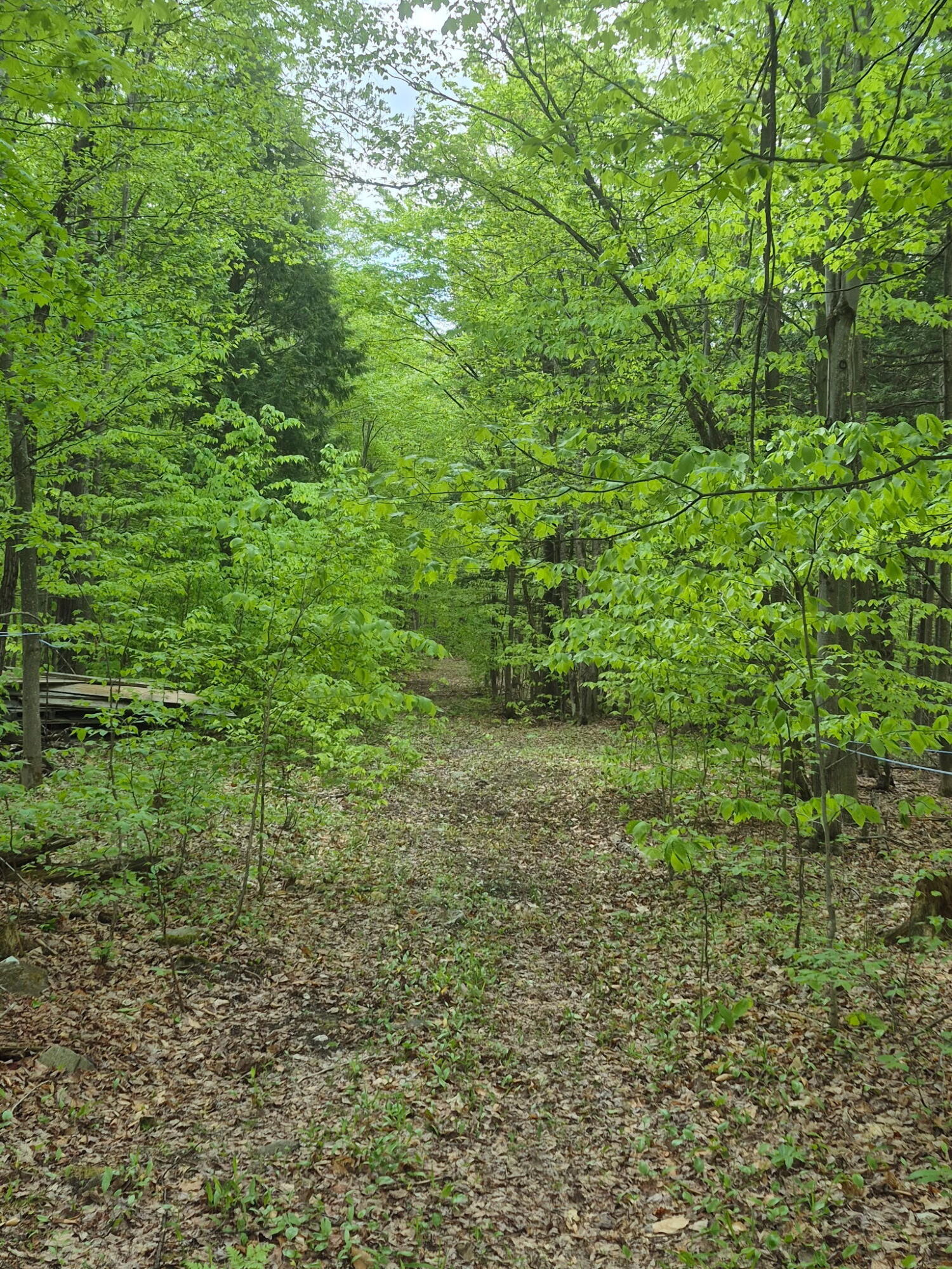 813 Bush Road Mooers Forks, NY 12959 - Photo 18 of 18 1000007453