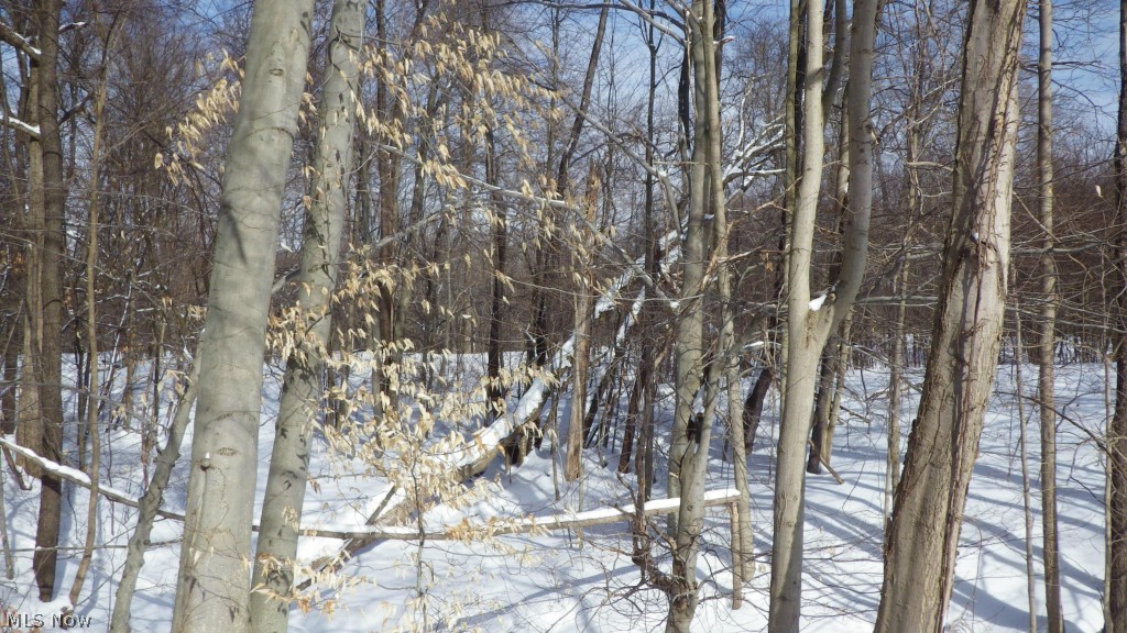 Fisher Road Burton, OH 44021 - Photo 8 of 10