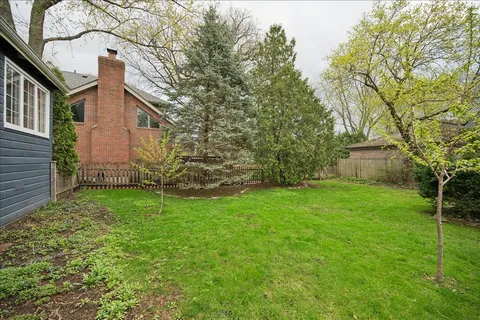 a view of a backyard with plants and large trees