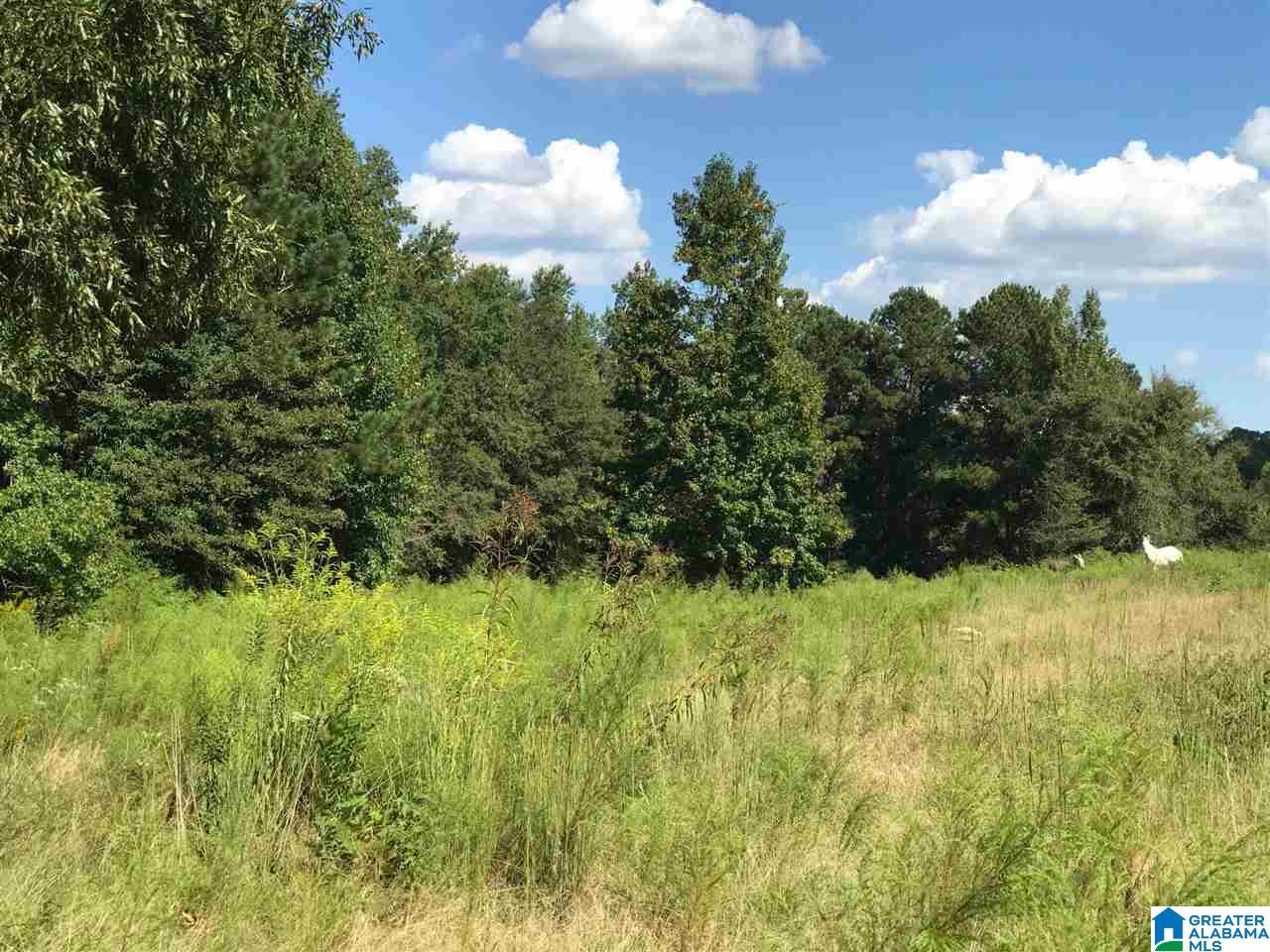 1525 Chelsea Road, Unit 1525 Columbiana, AL 35051 - Photo 6 of 33