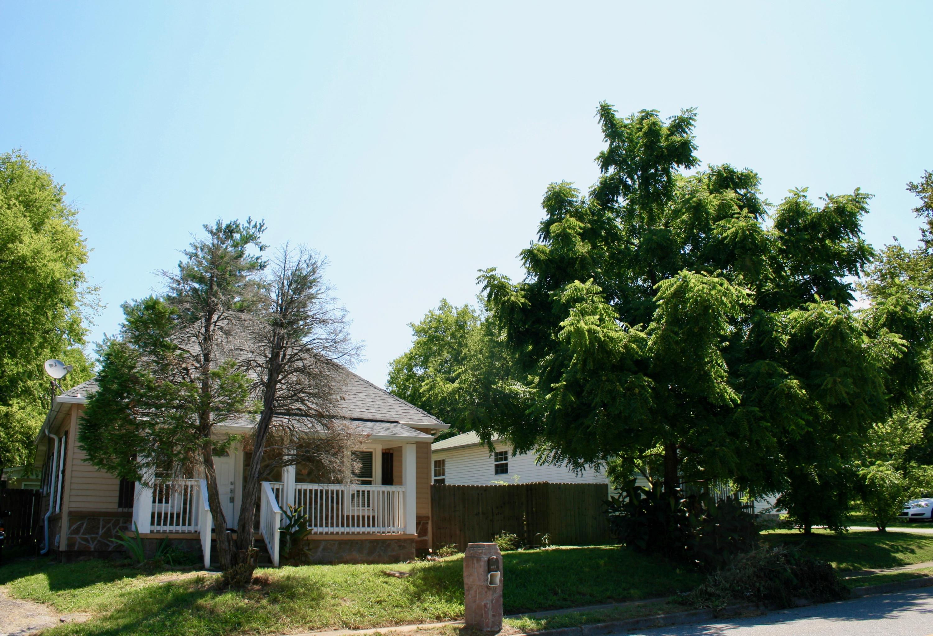 414 Wright Road Maryville, TN 37804 - Photo 22 of 22 IMG_8106