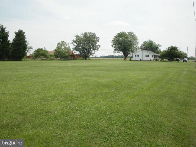 7310 Mountaindale Road Frederick, MD 21702 - Photo 3 of 30 Side and front yard