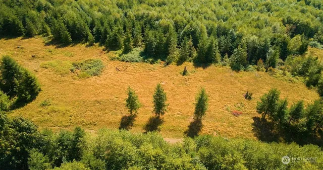 a view of a yard covered with snow in outdoor space
