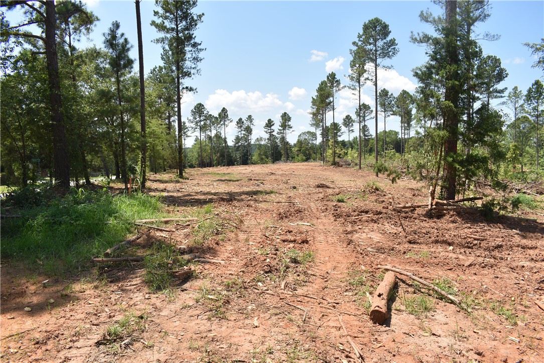 Lot 2 Mountain Creek Church Road Anderson, SC 29626 - Photo 3 of 7 Gallery Image 3