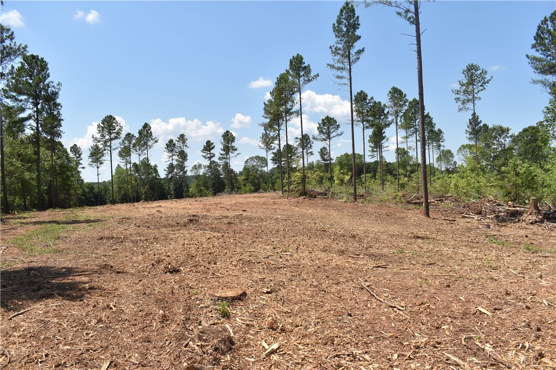 Lot 2 Mountain Creek Church Road Anderson, SC 29626 - Photo 4 of 7 Gallery Image 4