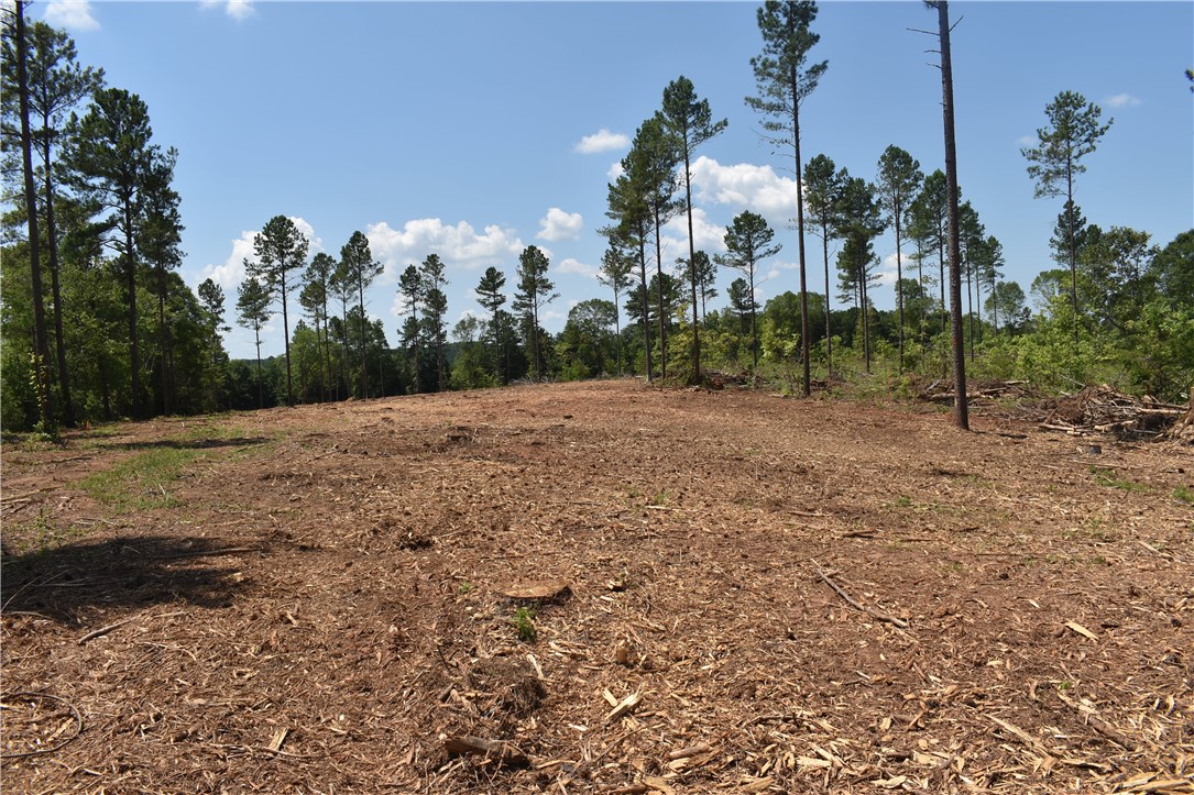 Lot 2 Mountain Creek Church Road Anderson, SC 29626 - Photo 5 of 7 Gallery Image 5
