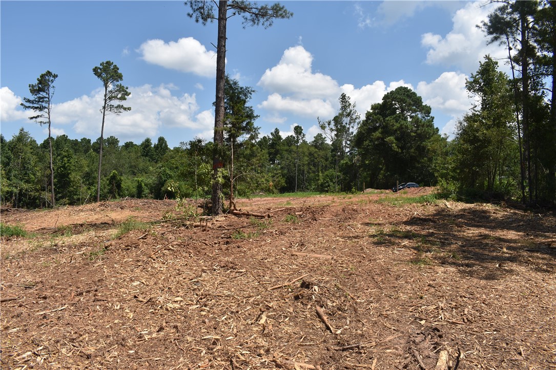 Lot 2 Mountain Creek Church Road Anderson, SC 29626 - Photo 6 of 7 Gallery Image 6