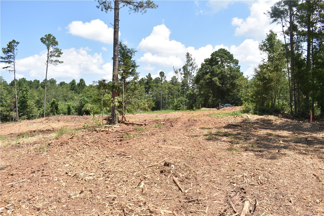 Lot 2 Mountain Creek Church Road Anderson, SC 29626 - Photo 7 of 7 Gallery Image 7
