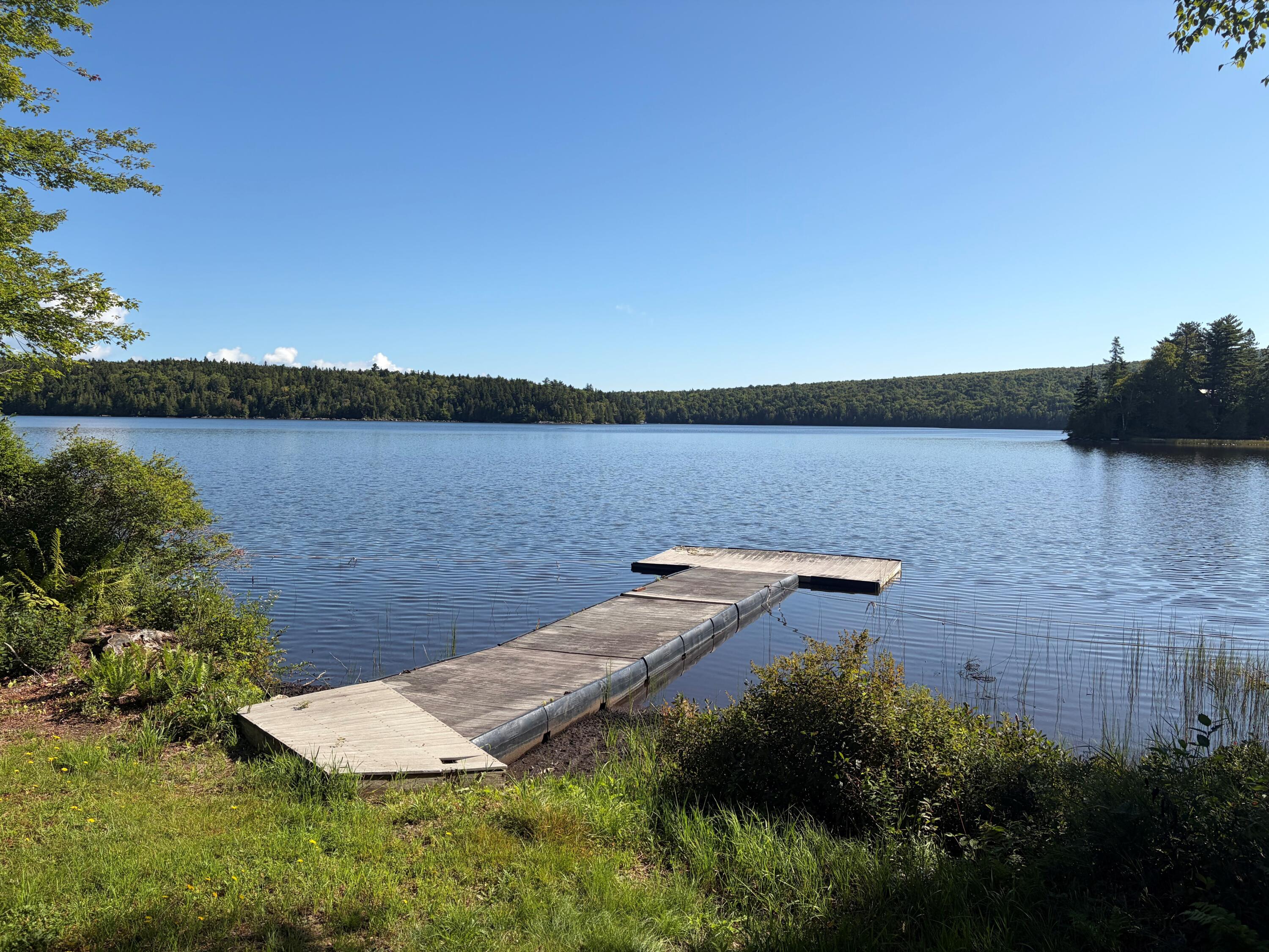 pond