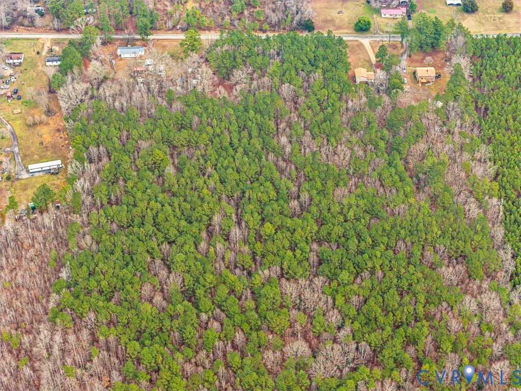 Tbd Sugar Hill Road Kenbridge, VA 23944 - Photo 6 of 7 a view of a yard with plants and wooden fence