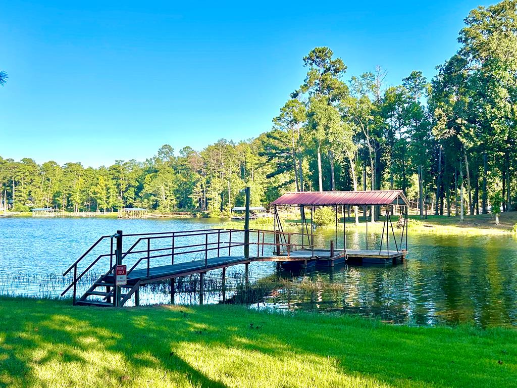 771 Calhoun Drive Abbeville, AL 36310 - Photo 2 of 20
