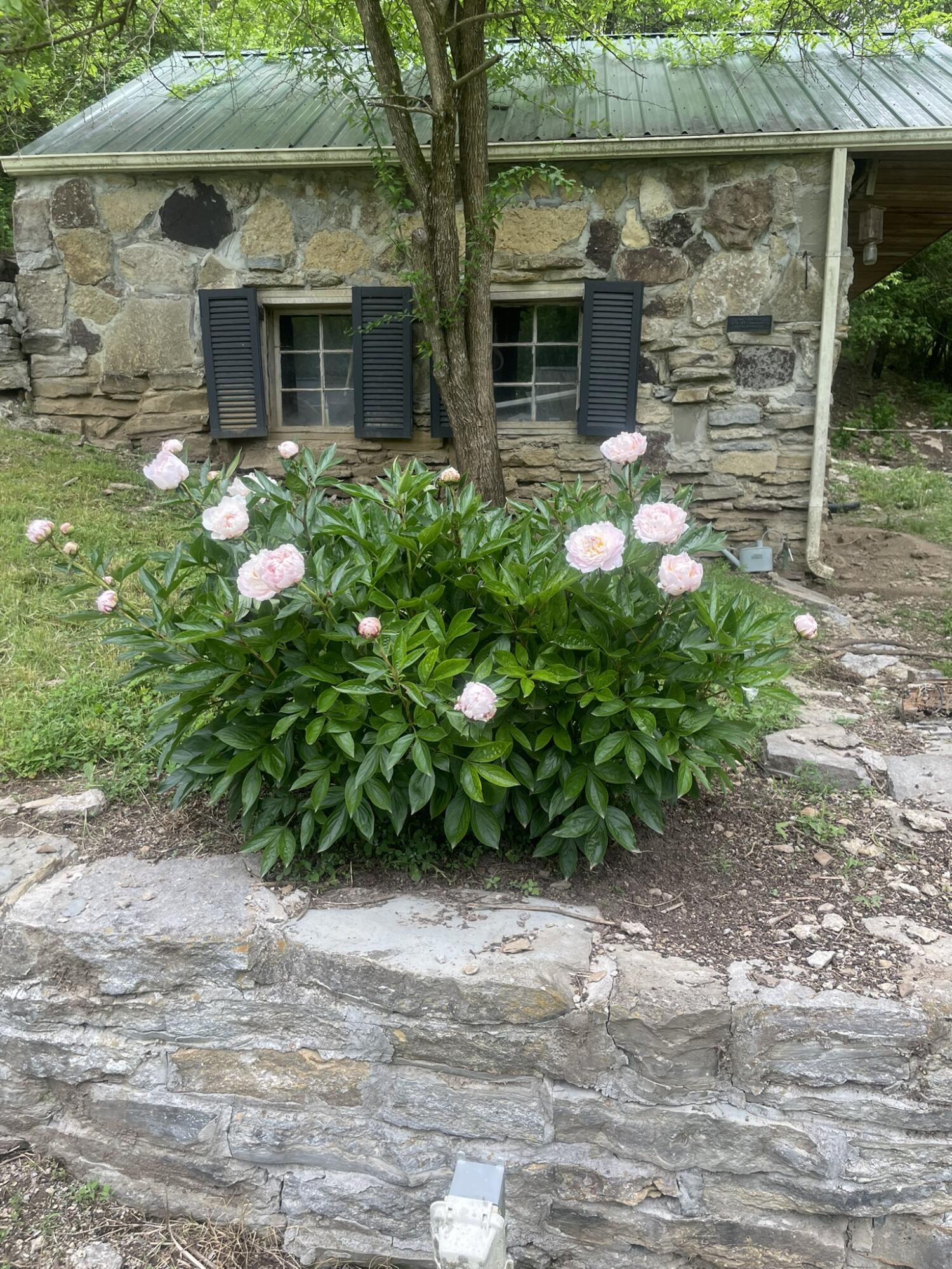 4933 Bloomfield Road Springfield, KY 40069 - Photo 29 of 41 IMG_7175
