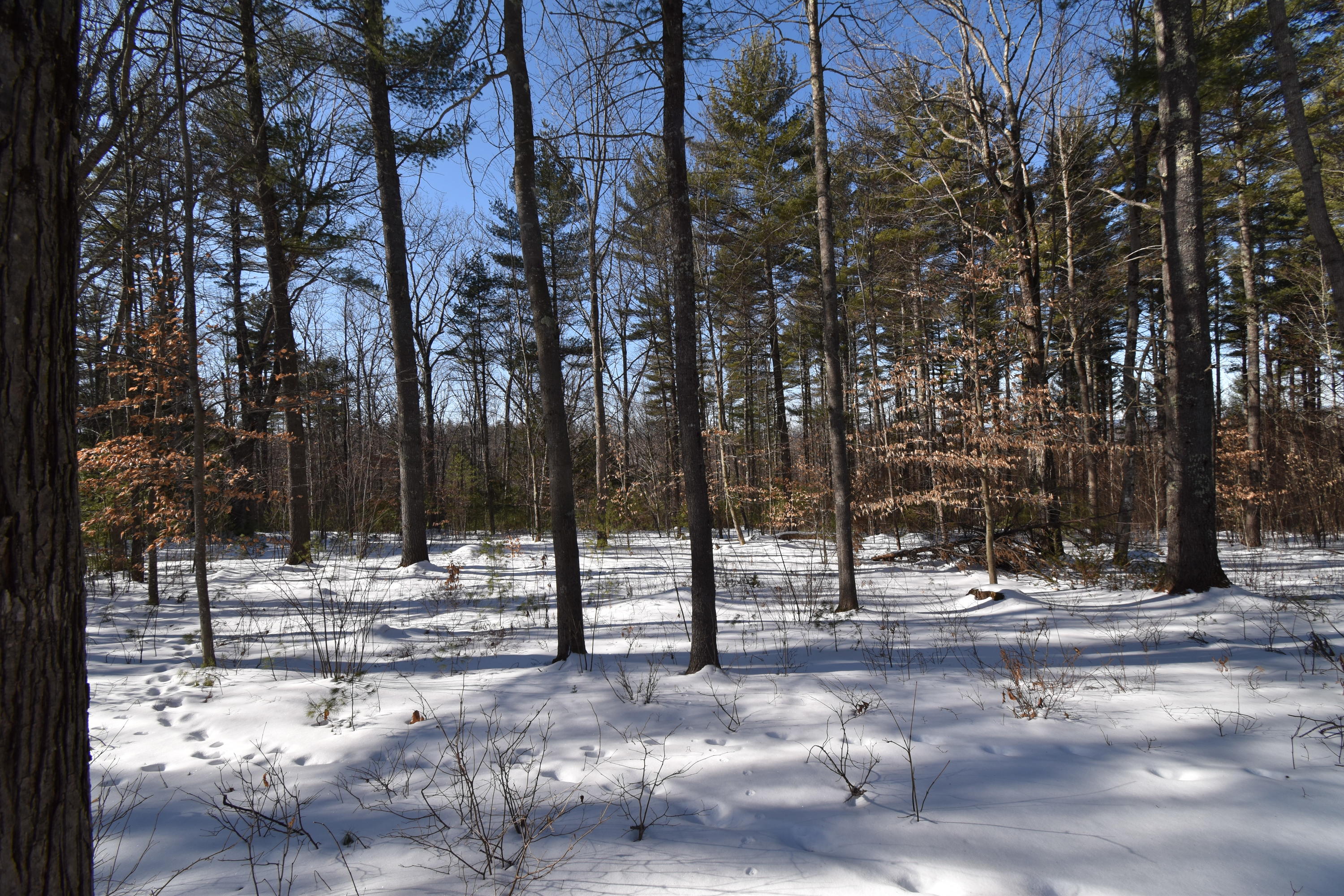 360 Watson Heights Road Kents Hill, ME 04349 - Photo 60 of 77 DSC_0311
