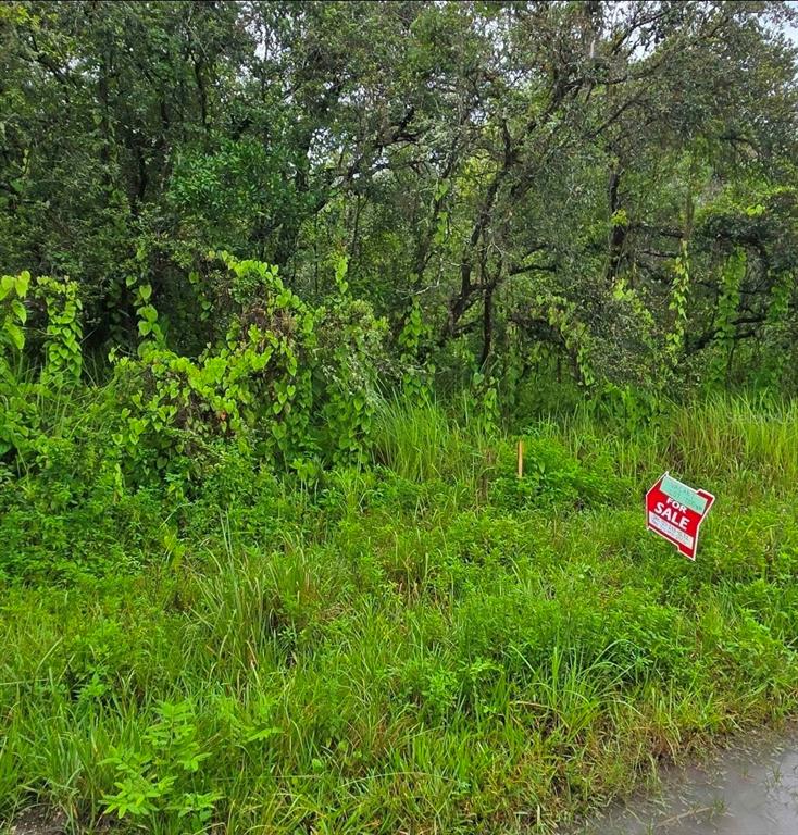 Ladd Avenue New Port Richey, FL 34654 - Photo 3 of 3 a group of people sitting in a lush green field