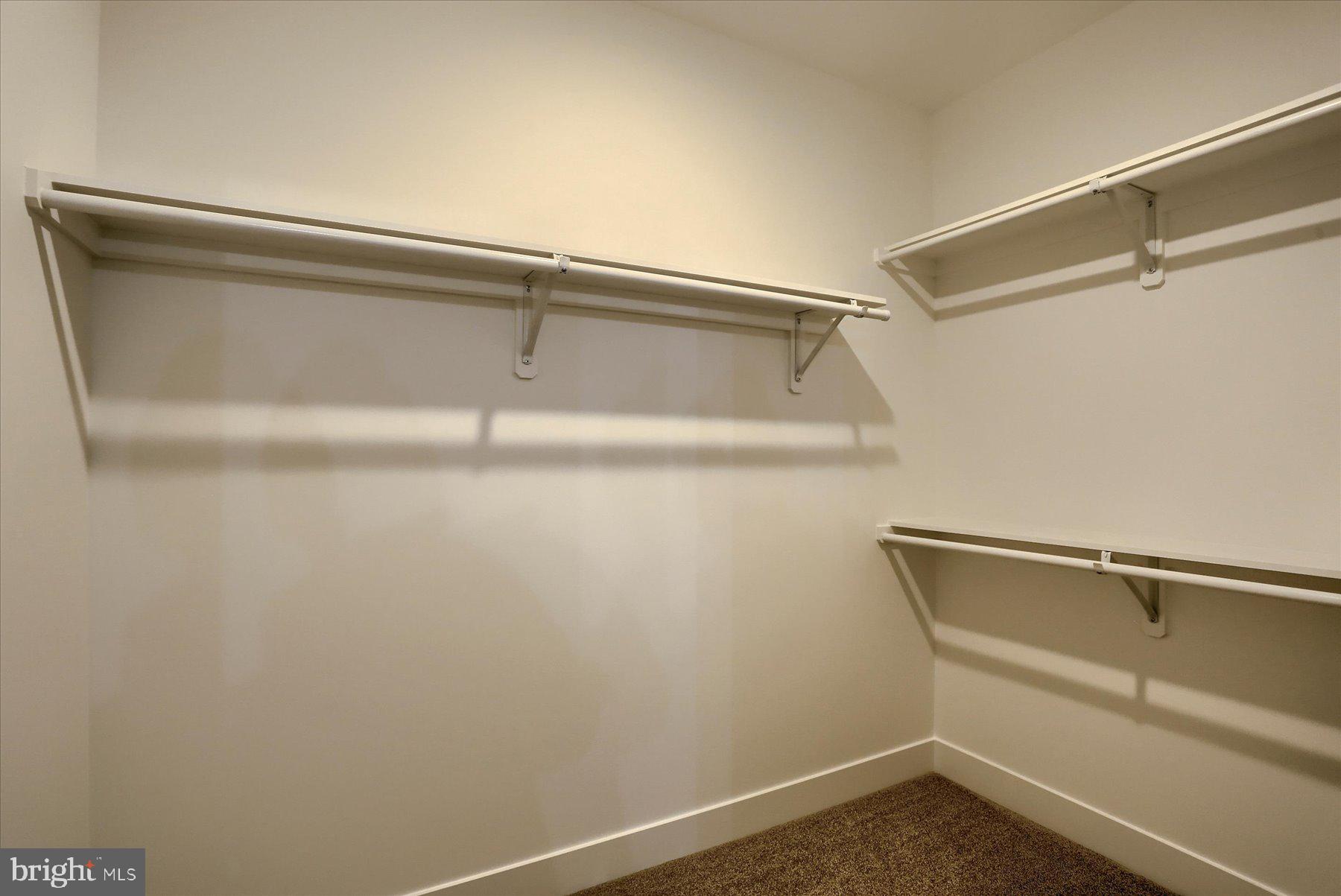 4116 Locust Road Camp Hill, PA 17011 - Photo 31 of 42 Primary Closet #1