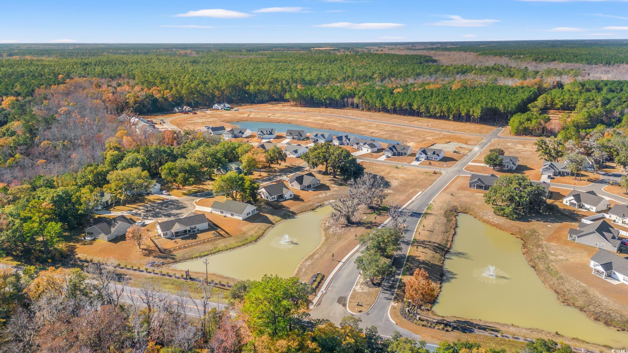 75 Double Pond Drive Georgetown, SC 29440 - Photo 20 of 31