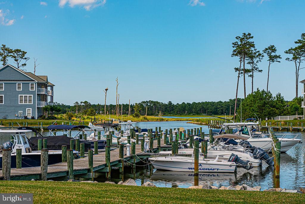 10214 Battle Colors Lane Berlin, MD 21811 - Photo 69 of 77 a view of a lake with a garden