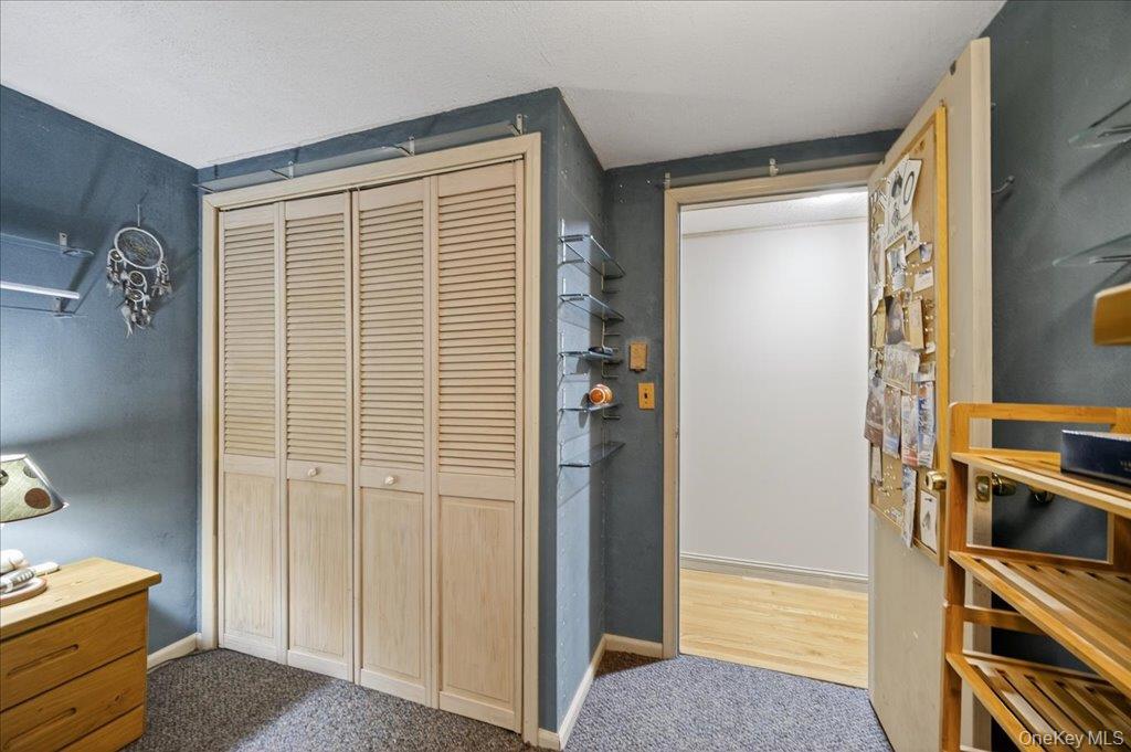 11 Merriewold Lane North Monroe, NY 10950 - Photo 22 of 48