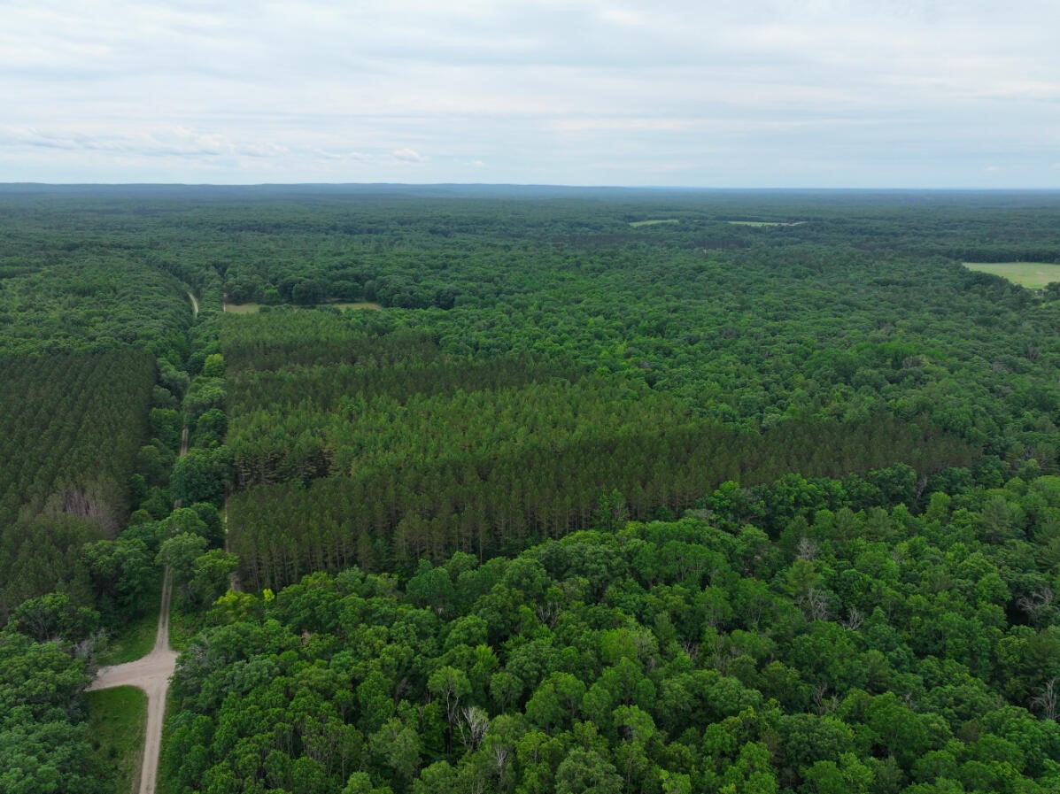 40 West 9 Mile Road Free Soil, MI 49411 - Photo 3 of 20 Gallery Image 3