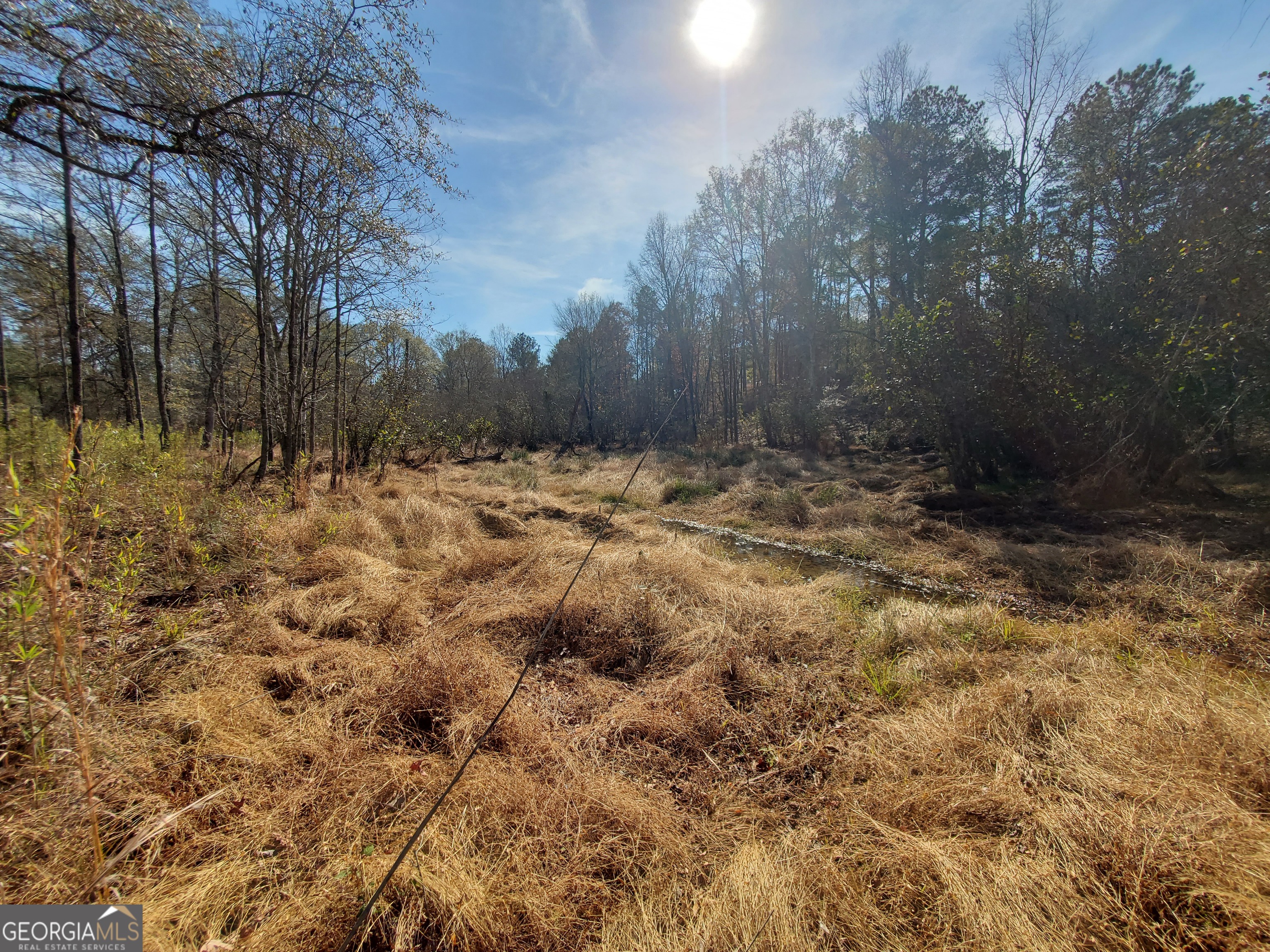 2 Smith Rocky Branch Road Carlton, GA 30627 - Photo 6 of 10