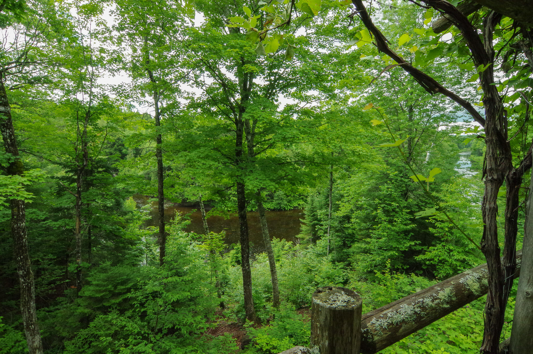 58 River Road Abbot, ME 04406 - Photo 71 of 114 IMGP0493