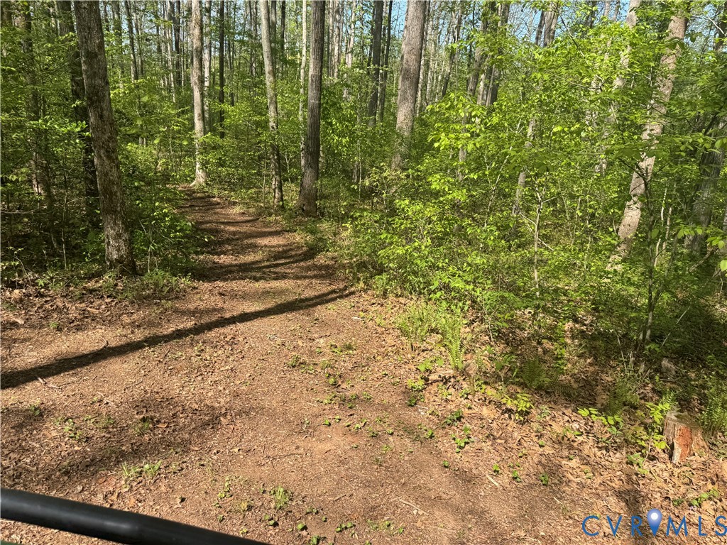 14430 Overlook Ridge Lane Beaverdam, VA 23015 - Photo 69 of 71 a view of a yard with plants and wooden fence