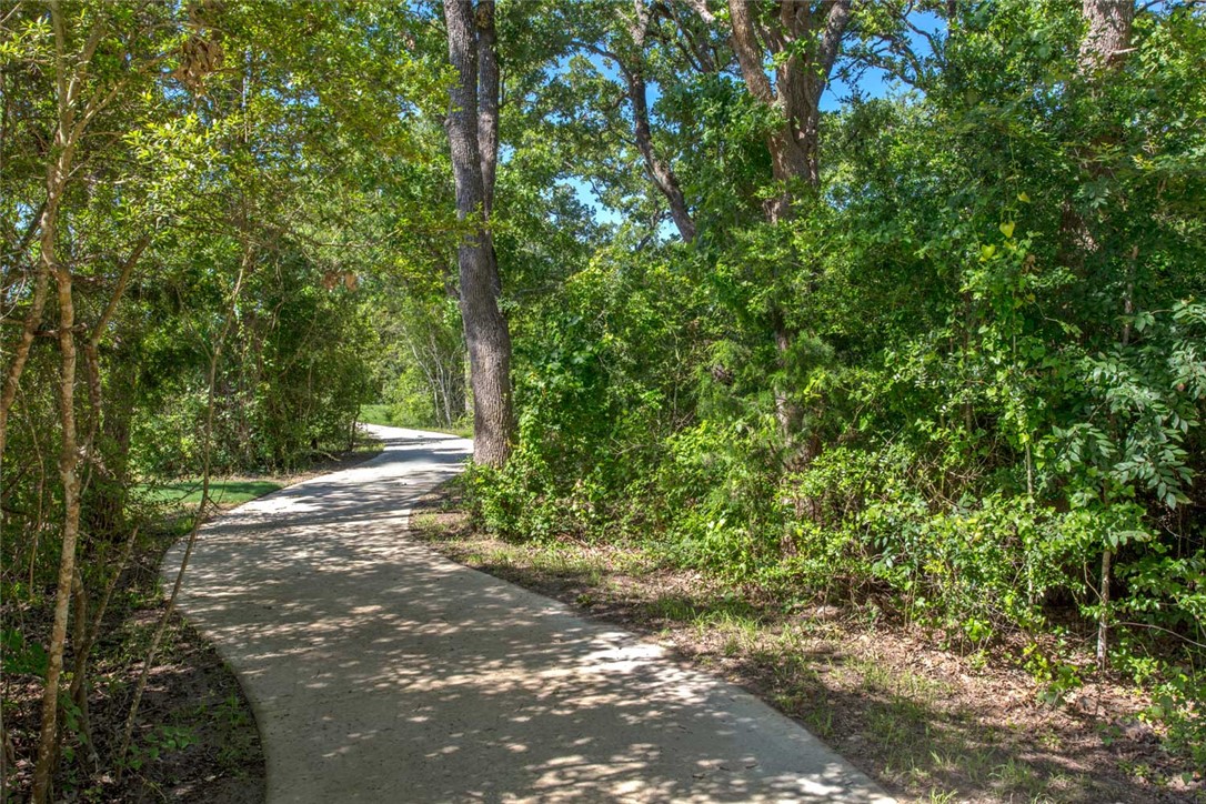 1648 Frontera Ranch College Station, TX 77845 - Photo 23 of 24 a view of a yard with plants and trees