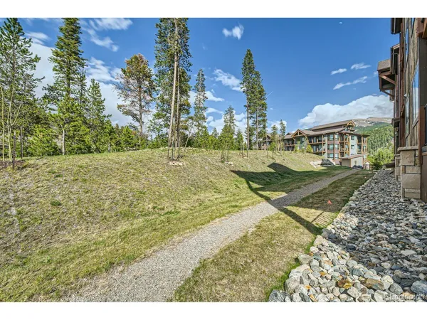 a view of a house with a yard and plants