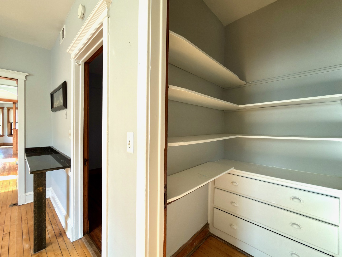 Undisclosed Address Chicago, IL 60647 - Photo 18 of 20 a close view of closet