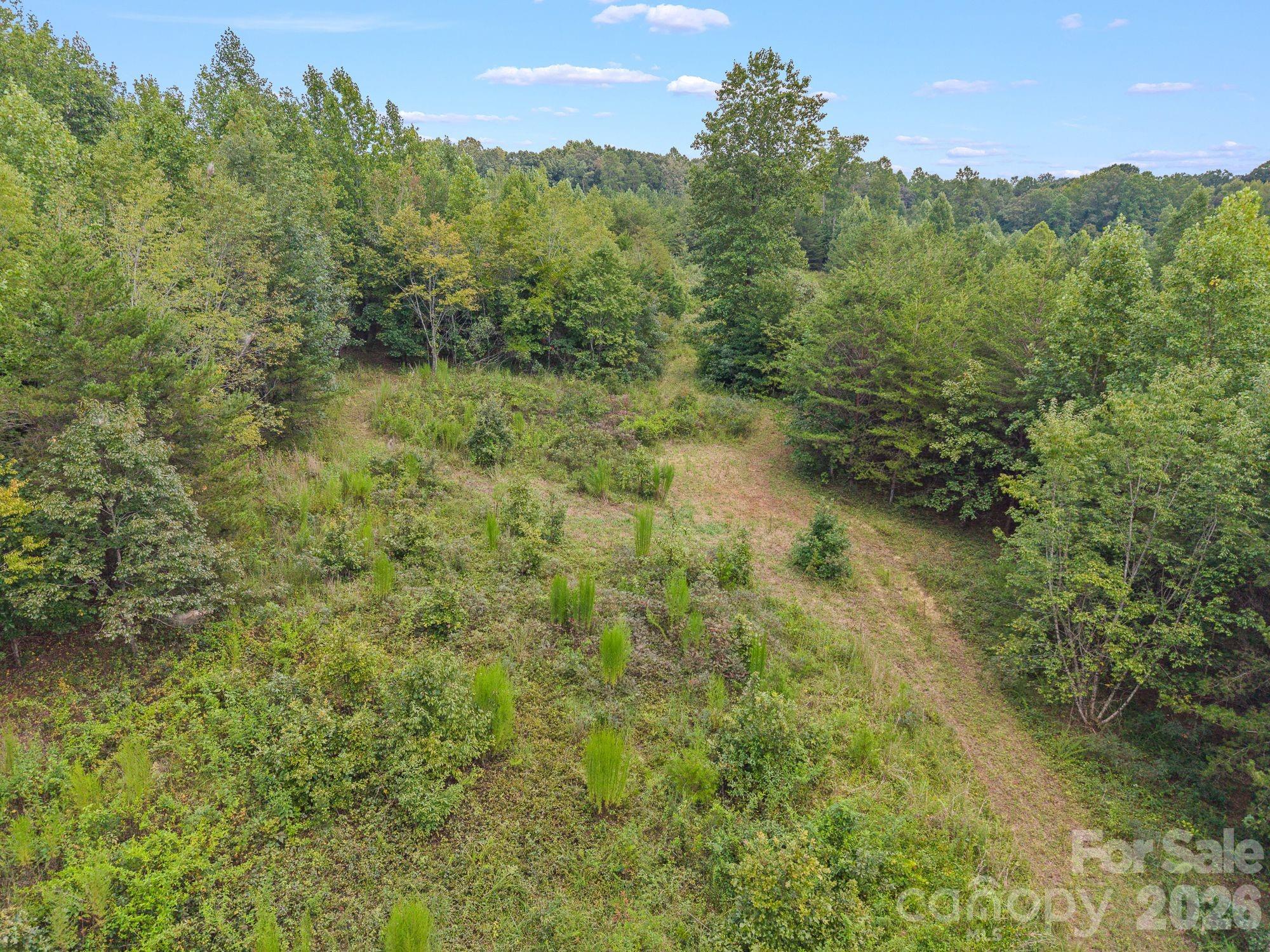 0 Chilly Bowl Road Rutherfordton, NC 28139 - Photo 5 of 18 Gallery Image 5