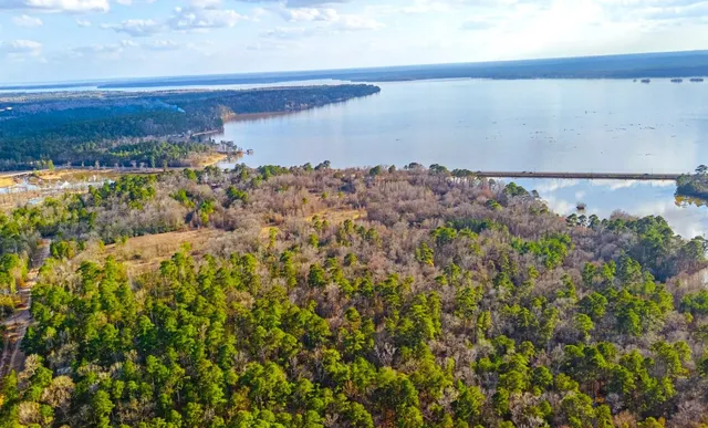 $17,000 | 5-lots 5-lots Hickory Ridge Drive, Trinity, TX 75862