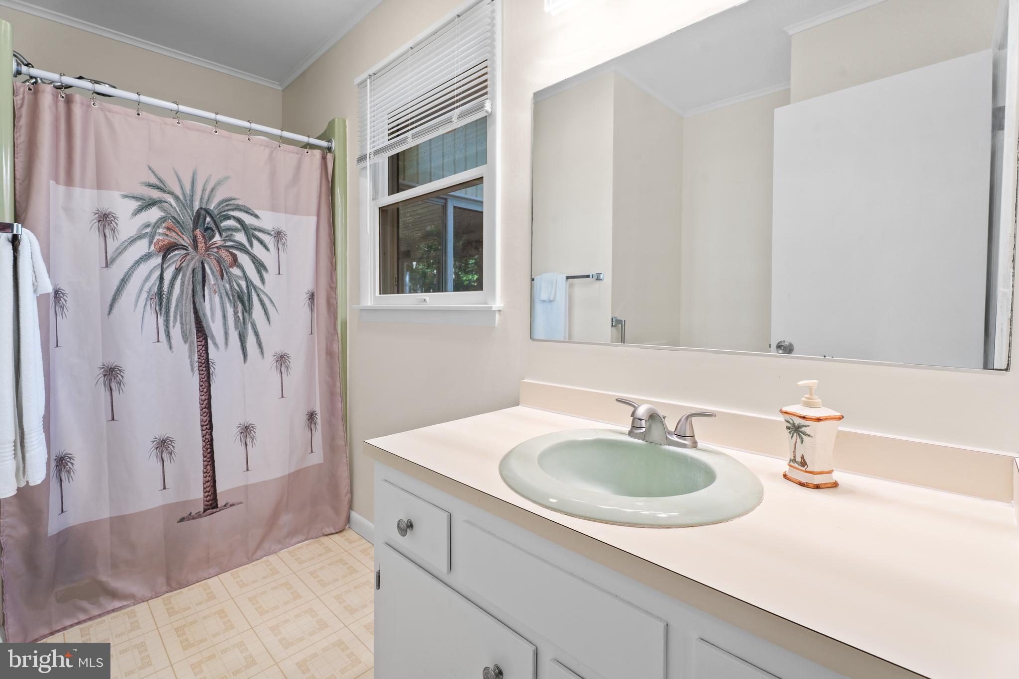 85 Ocean Parkway Ocean Pines, MD 21811 - Photo 31 of 78 a bathroom with a sink and a mirror